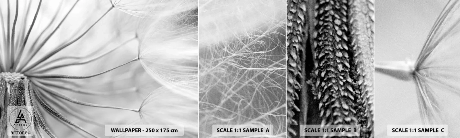 Fototapeten Muster Selbstklebend Deluxe Sticker - Löwenzahn, Drachen - Minimalismus, Empfindlich, Blume - 100x30 cm