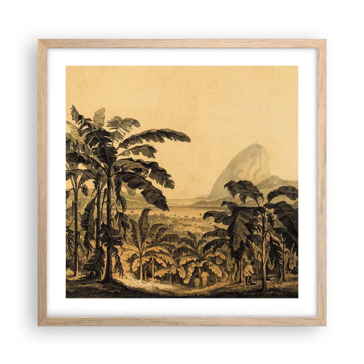 Poster in einem Rahmen aus heller Eiche - in einem kolonialen Klima - 50x50 cm
