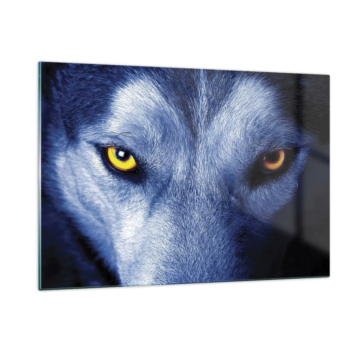 Glasbild - Bild auf glas - Der faszinierende Blick eines Wolfes - 120x80cm - Faszinierender Blick - Moderne Wanddekoration für Wohnzimmer und Schlafzimmer ARTTOR