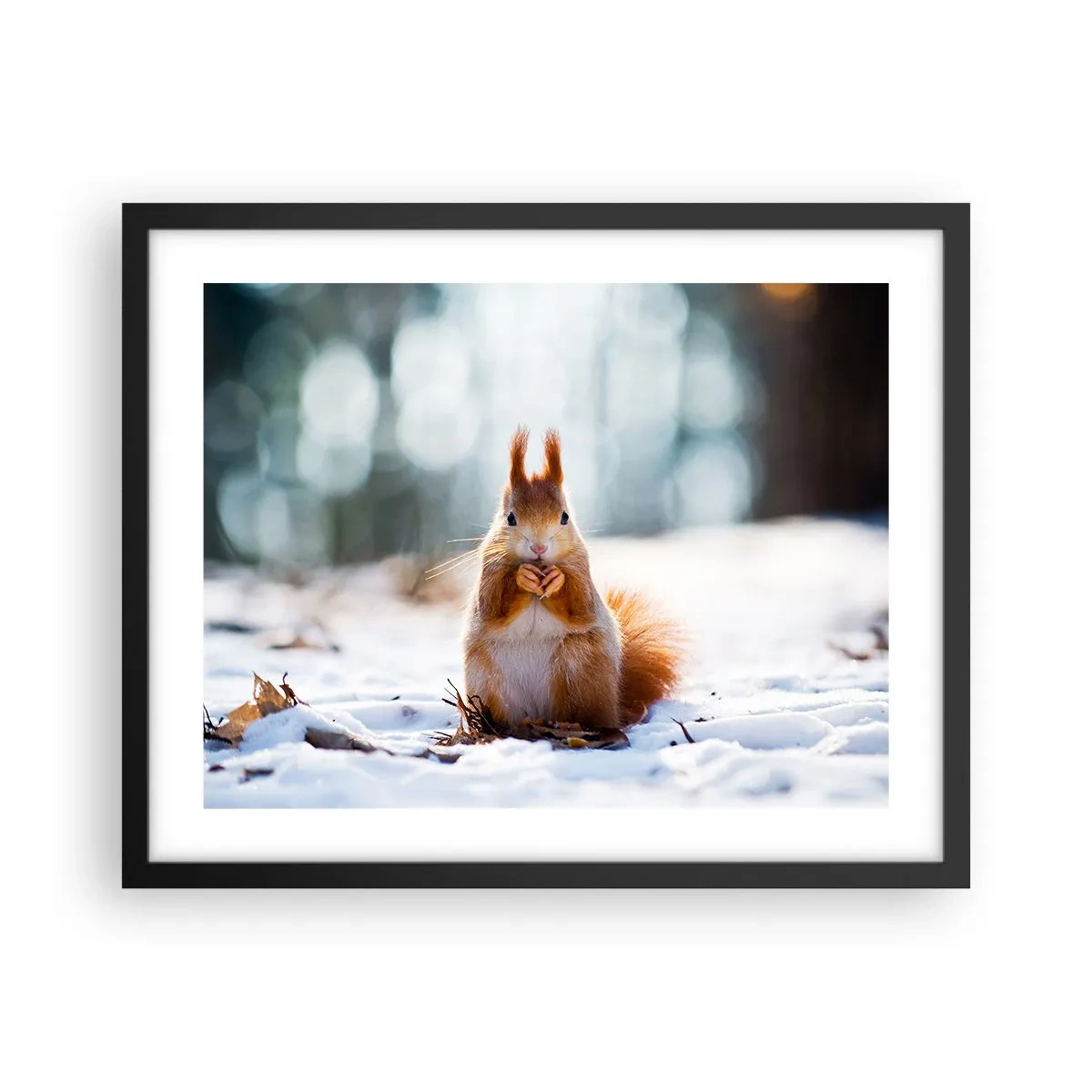 Poster in einem schwarzem Rahmen - Wo schaust du hin? - 50x40 cm