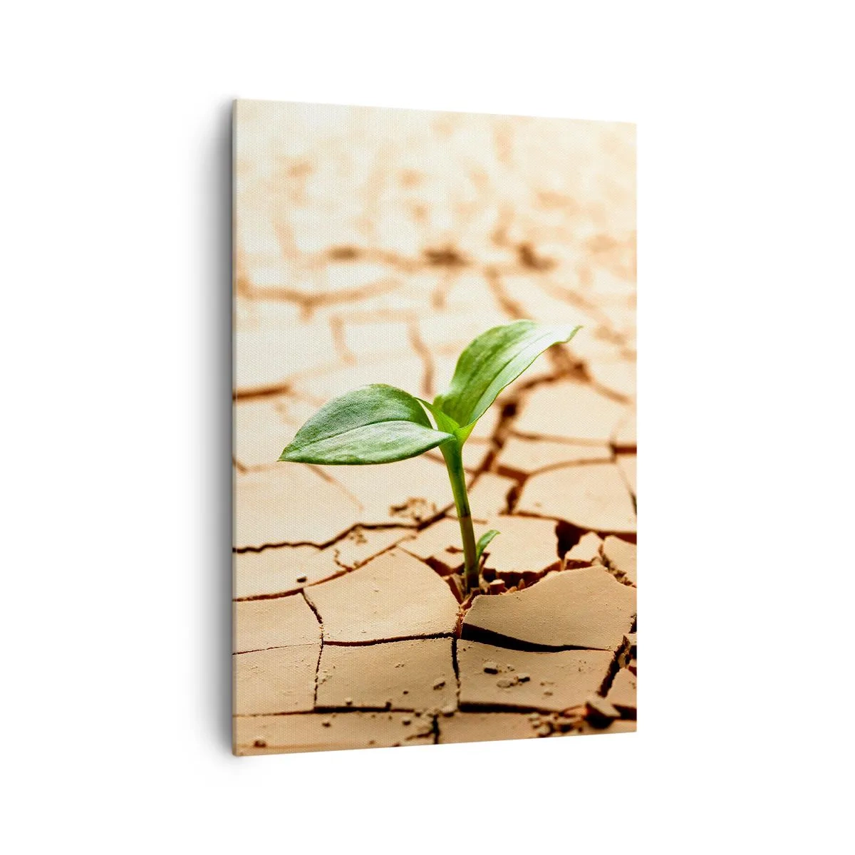Bild auf Leinwand - Leinwandbild - Eine grüne Pflanze wächst aus trockener, rissiger Erde - 70x100cm - Die unbezähmbare Kraft des Lebens - Moderne Wanddekoration für Wohnzimmer und Schlafzimmer ARTTOR