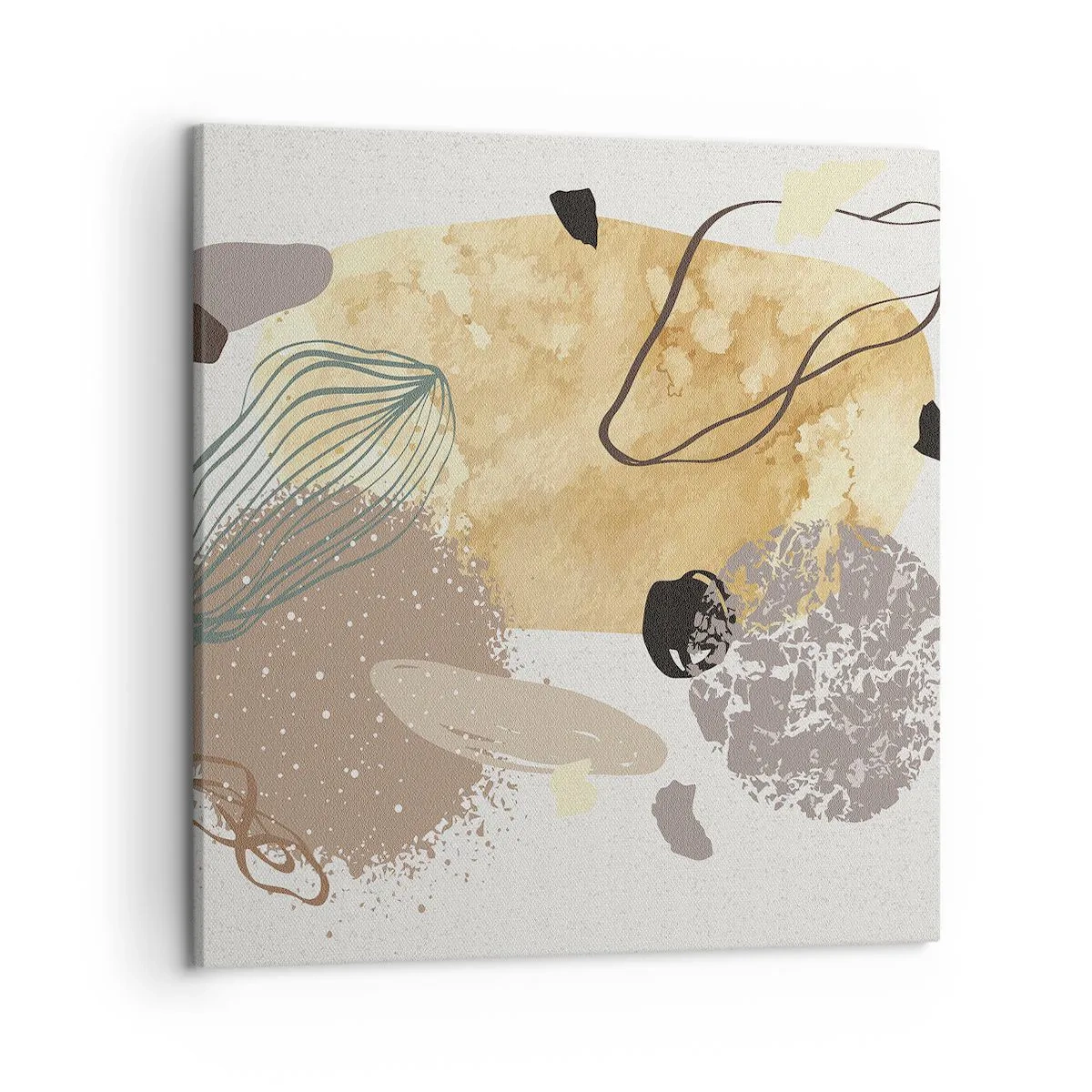 Bild auf Leinwand - Leinwandbild - Angewandte Plumkologie - 50x50 cm