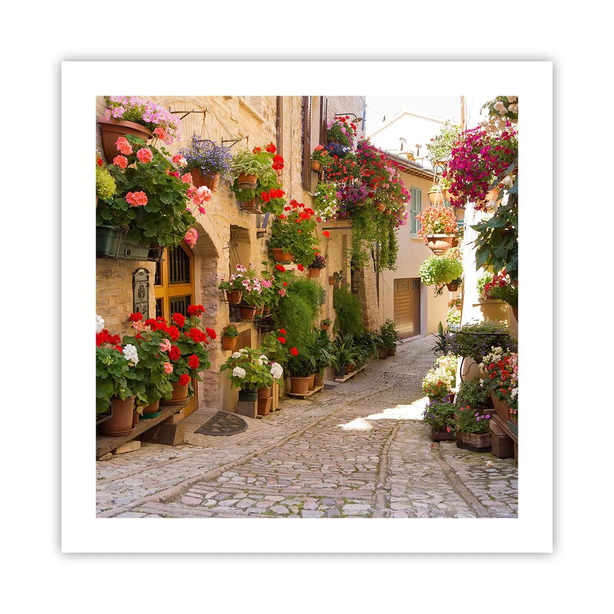 Poster - In der Flut Blumen - 50x50 cm