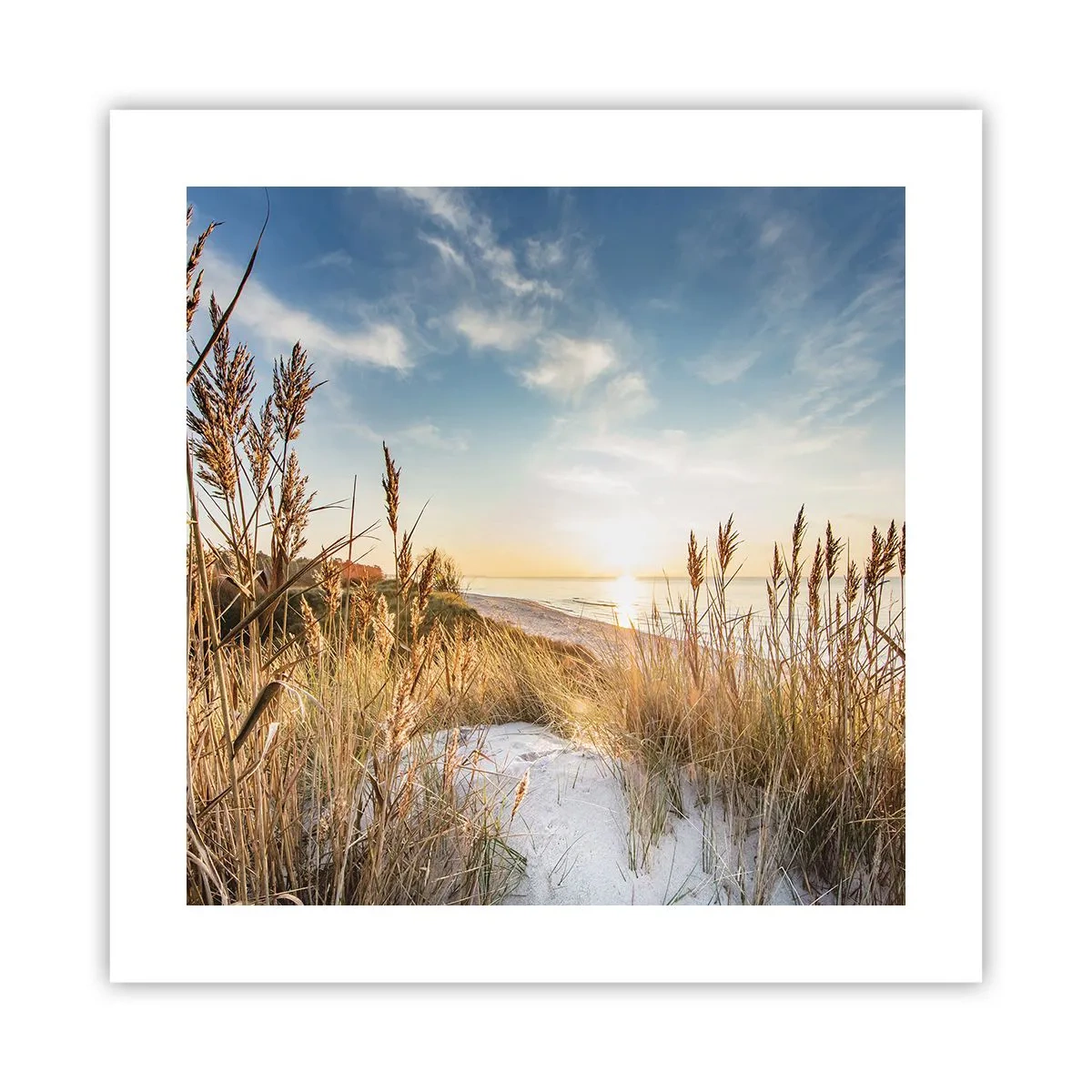 Poster - Nordstrand - 40x40 cm