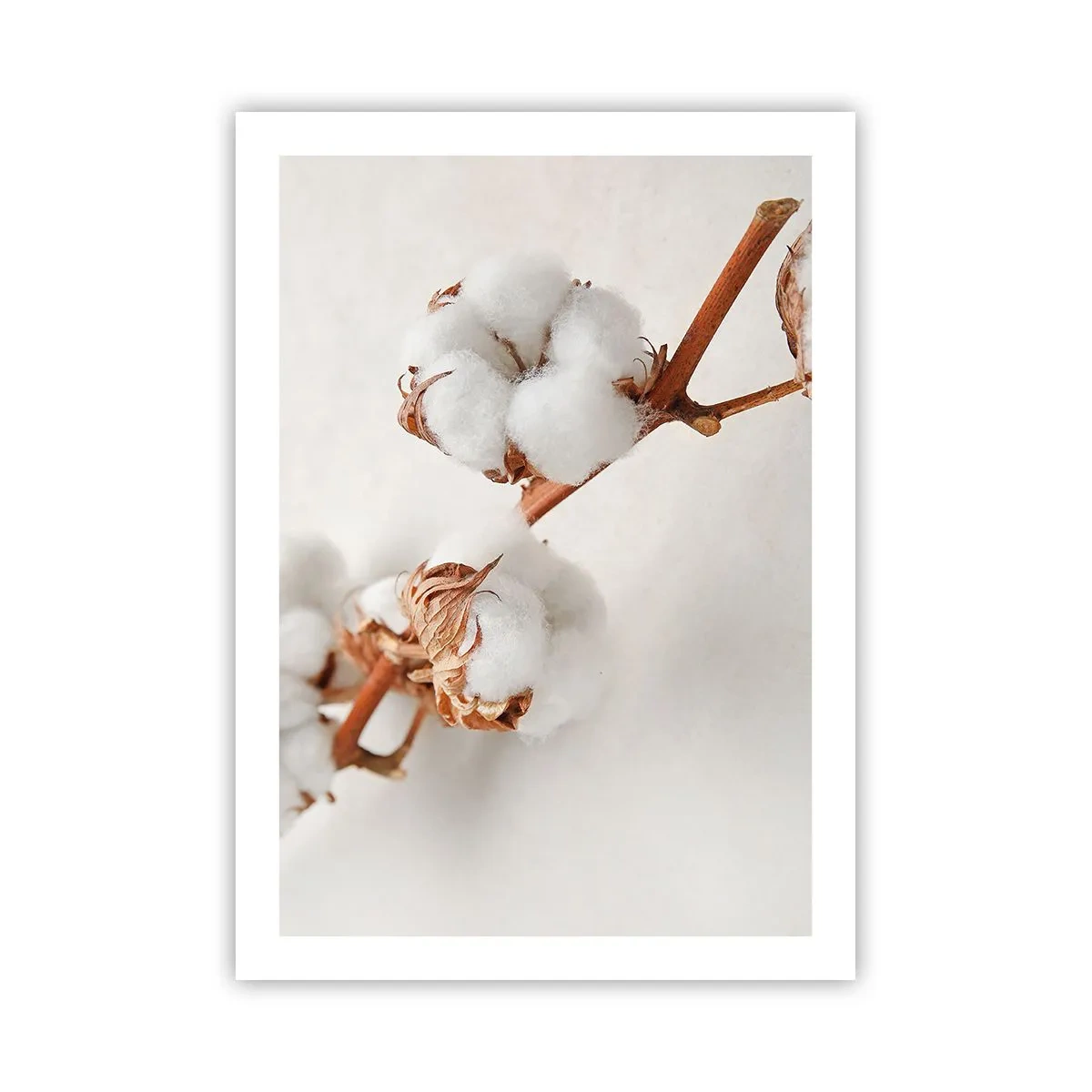 Poster - Zarte Baumwollzweige auf hellem Untergrund - 50x70cm - Nur umarmen - Moderne Wanddekoration für Wohnzimmer und Schlafzimmer ARTTOR