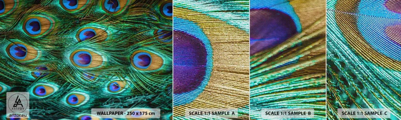 Fototapeten Muster Premium Canvas - Ein Blick mit Pfauenaugen - Abstraktion, Pfauenfedern, Vogelfeder - 100x30 cm