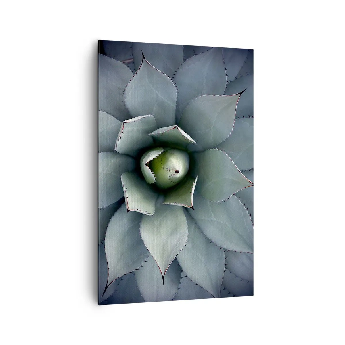Bild auf Leinwand - Leinwandbild - Nahaufnahme einer Agavenrosette in zarten Grüntönen - 80x120cm - Es lockt an und warnt - Moderne Wanddekoration für Wohnzimmer und Schlafzimmer ARTTOR