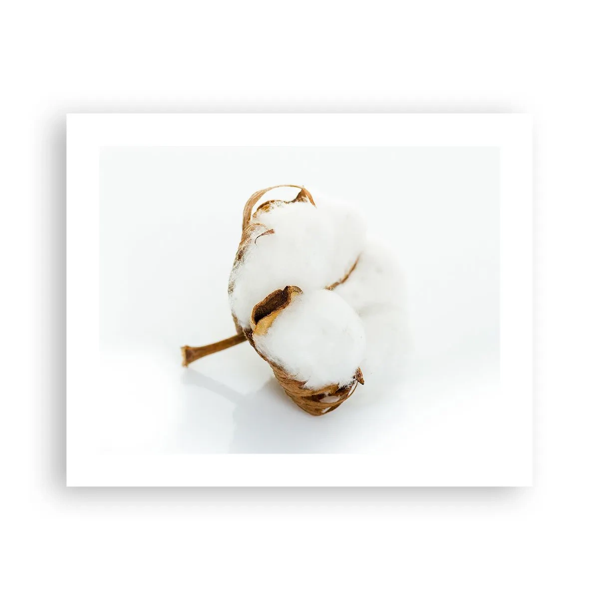 Poster - Von Natur aus weich - 50x40 cm