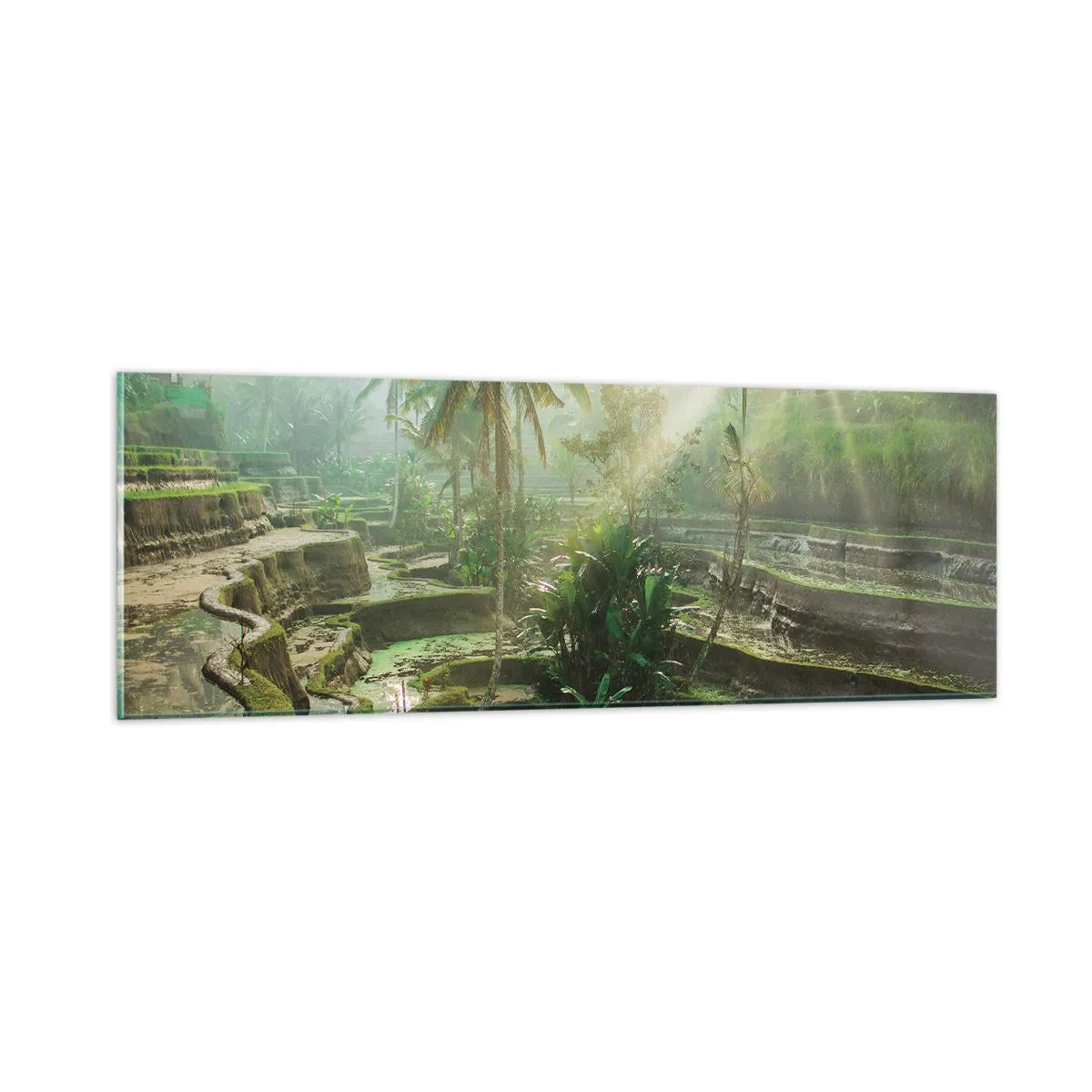 Glasbild - Bild auf glas - In der Sonne aufwachsen - 90x30 cm