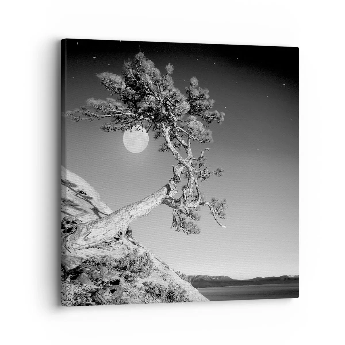 Bild auf Leinwand - Leinwandbild - Siegreiche Kämpferin - 30x30 cm