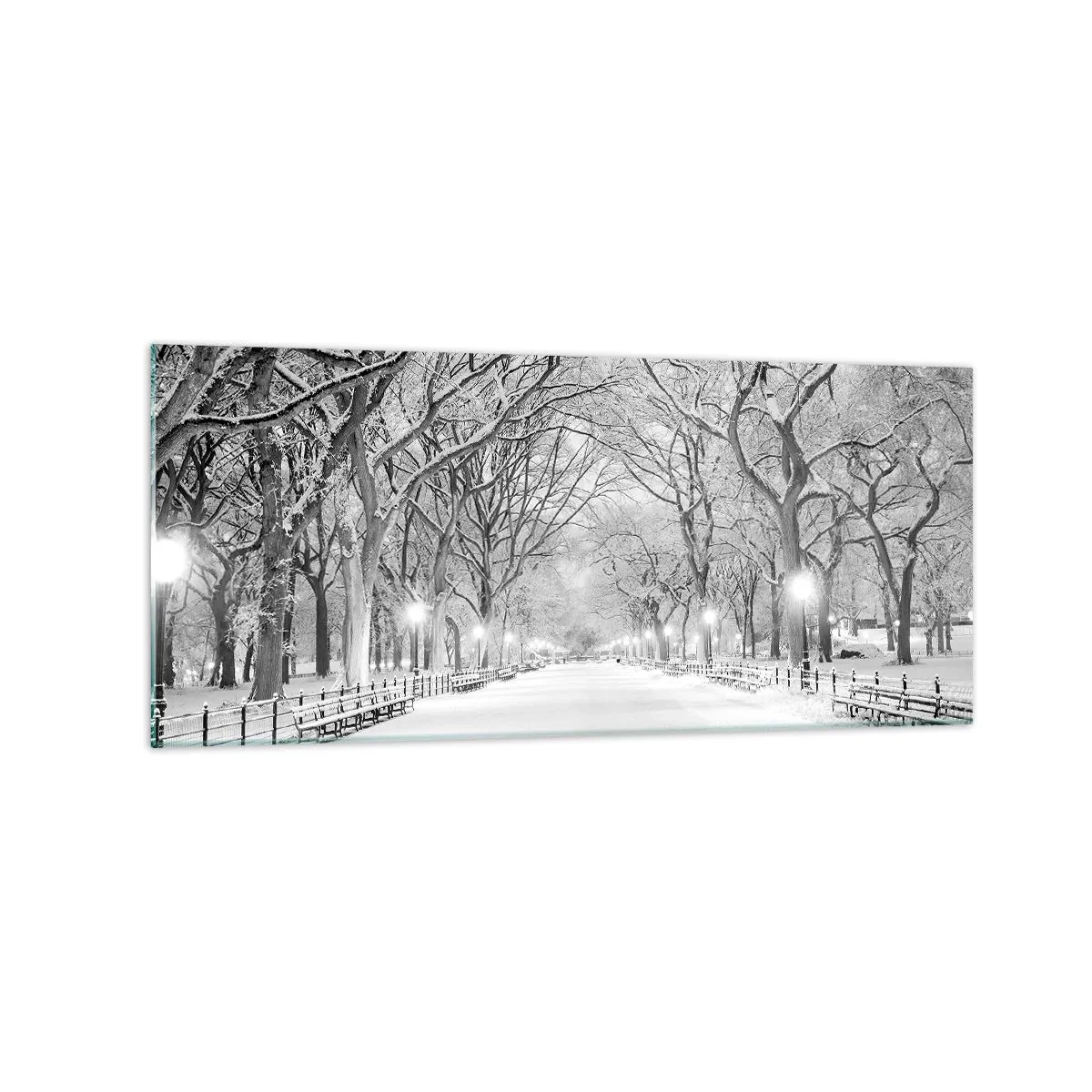 Glasbild - Bild auf glas - Eine Winterallee mit schneebedeckten Bäumen in Monochrom - 120x50cm - Vier Jahreszeiten - Winter - Moderne Wanddekoration für Wohnzimmer und Schlafzimmer ARTTOR