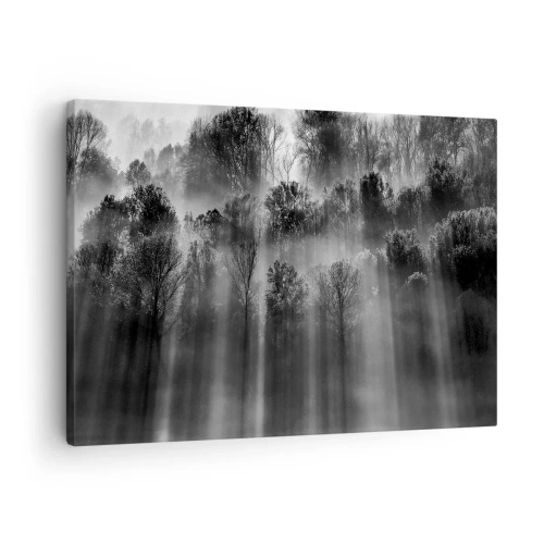 Bild auf Leinwand - Leinwandbild - Schwarz-weißer Wald im Morgenlicht - 70x50cm - In Lichtstrahlen - Moderne Wanddekoration für Wohnzimmer und Schlafzimmer ARTTOR