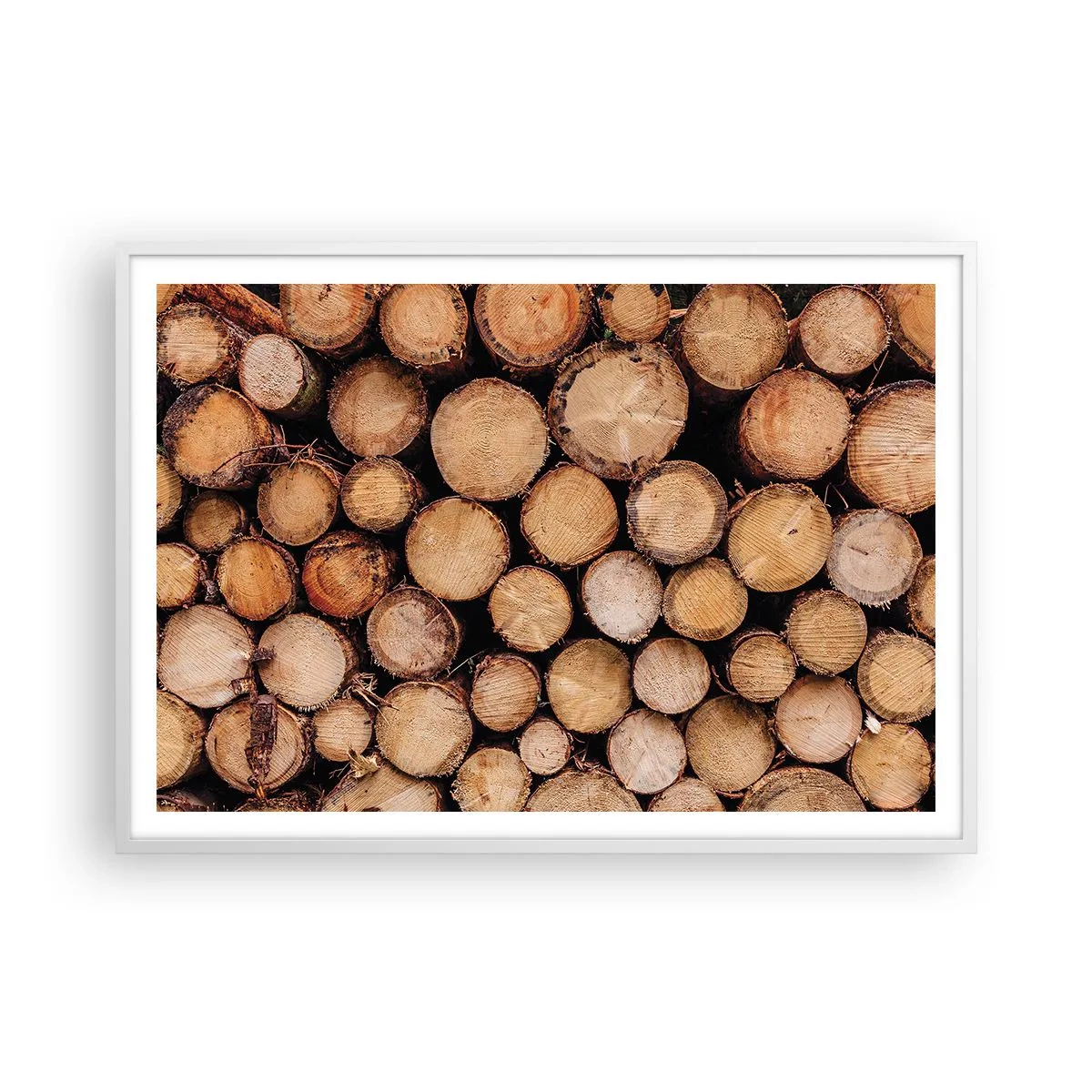 Poster in einem weißen Rahmen - Ein neuer Anfang - 100x70 cm