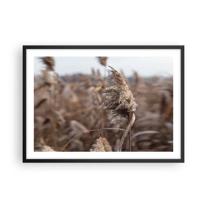 Poster in einem schwarzem Rahmen - Zarte Gräser in Beigetönen vor dem Hintergrund der Natur - 70x50cm - Zeit, mit dem Wind zu gehen - Moderne Wanddekoration für Wohnzimmer und Schlafzimmer ARTTOR