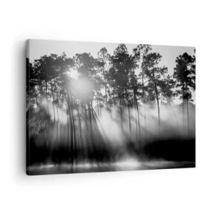 Bild auf Leinwand - Leinwandbild - Schwarz-weißer Wald im Morgennebel - 70x50cm - Unaufhaltsame Sonne - Moderne Wanddekoration für Wohnzimmer und Schlafzimmer ARTTOR