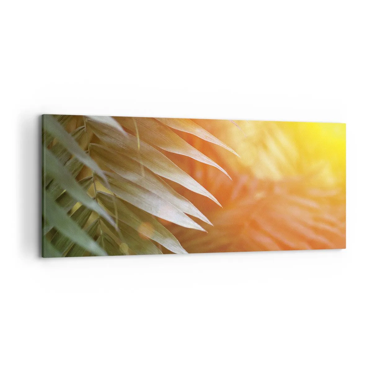 Bild auf Leinwand - Leinwandbild - Palmblätter in den Strahlen des Sonnenuntergangs - 120x50cm - Morgen im Dschungel - Moderne Wanddekoration für Wohnzimmer und Schlafzimmer ARTTOR