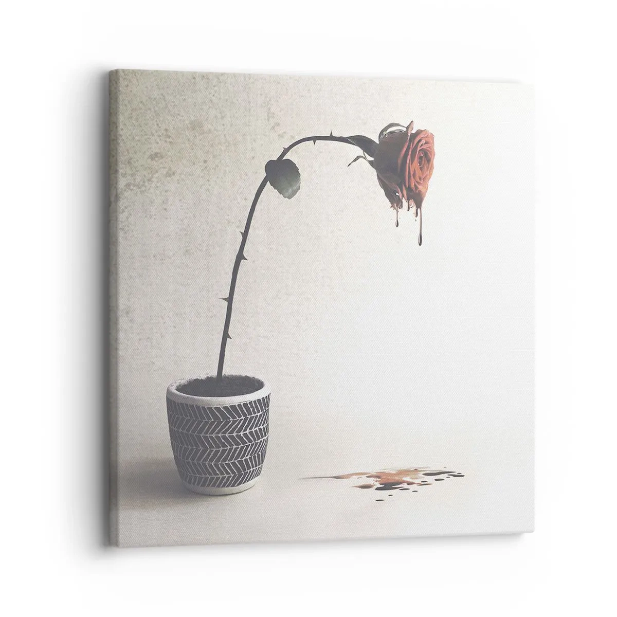 Bild auf Leinwand - Leinwandbild - Rosa dolorosa - 30x30 cm