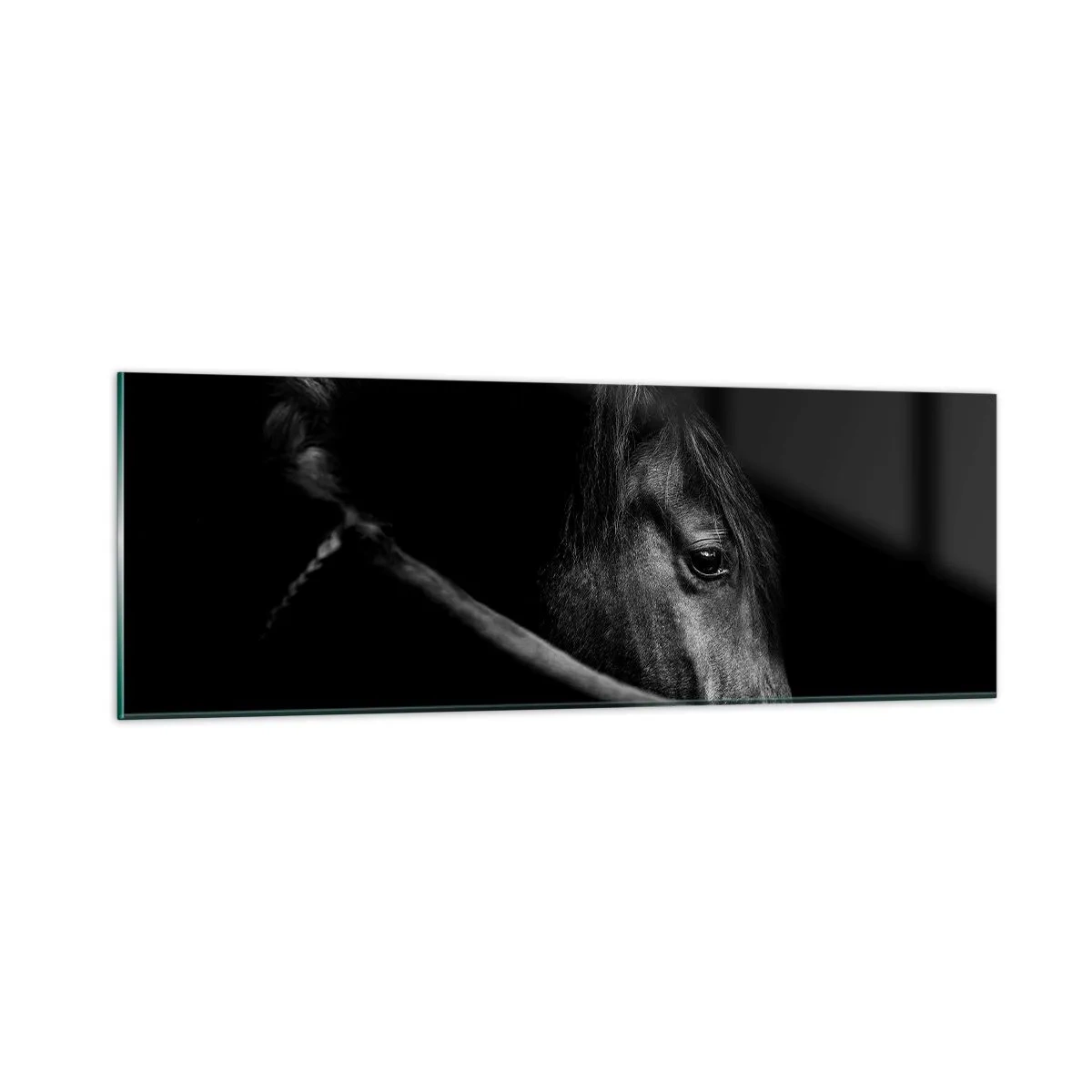 Glasbild - Bild auf glas - Schwarzer Prinz - 90x30 cm