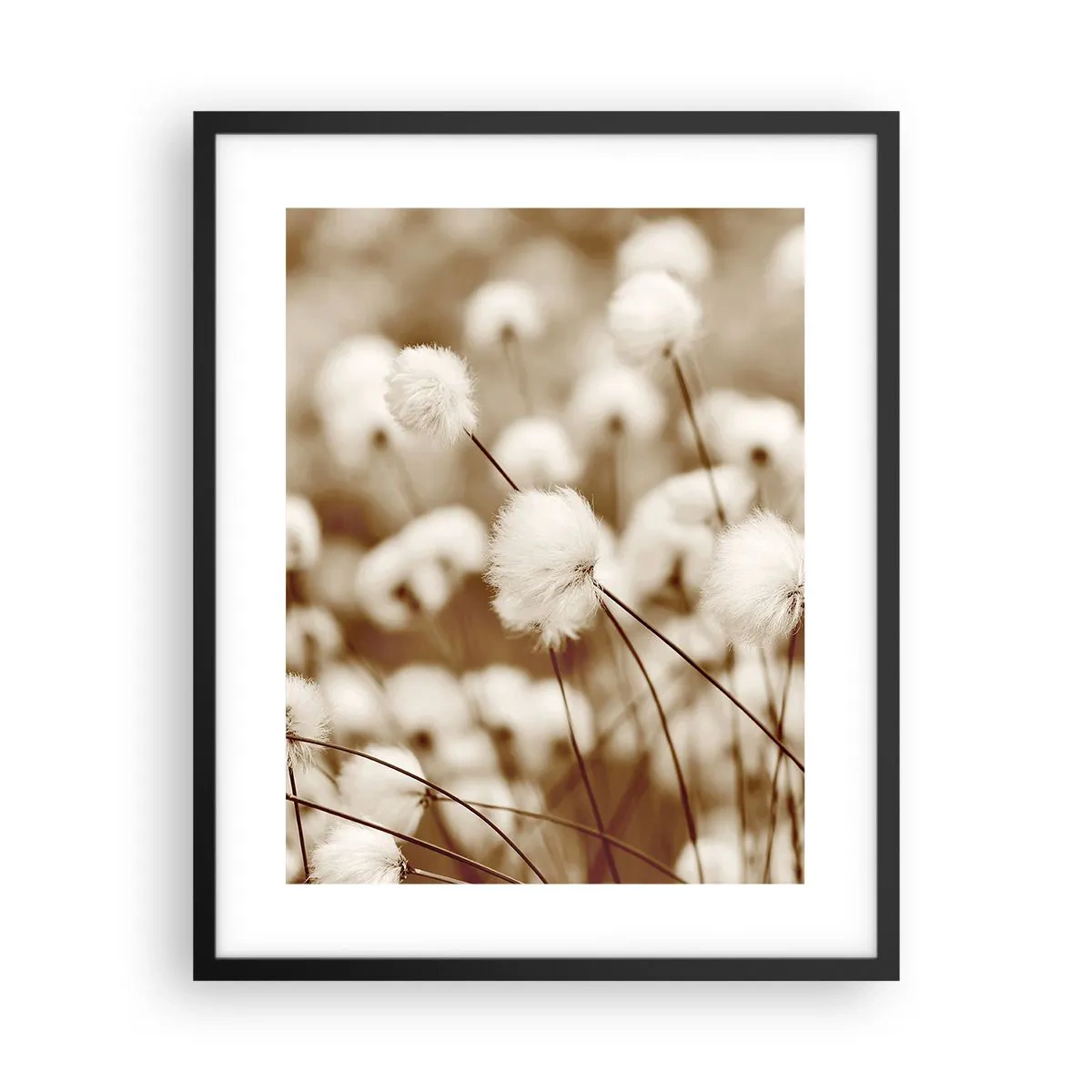 Poster in einem schwarzem Rahmen - Flauschiges Kornfeld - 40x50 cm