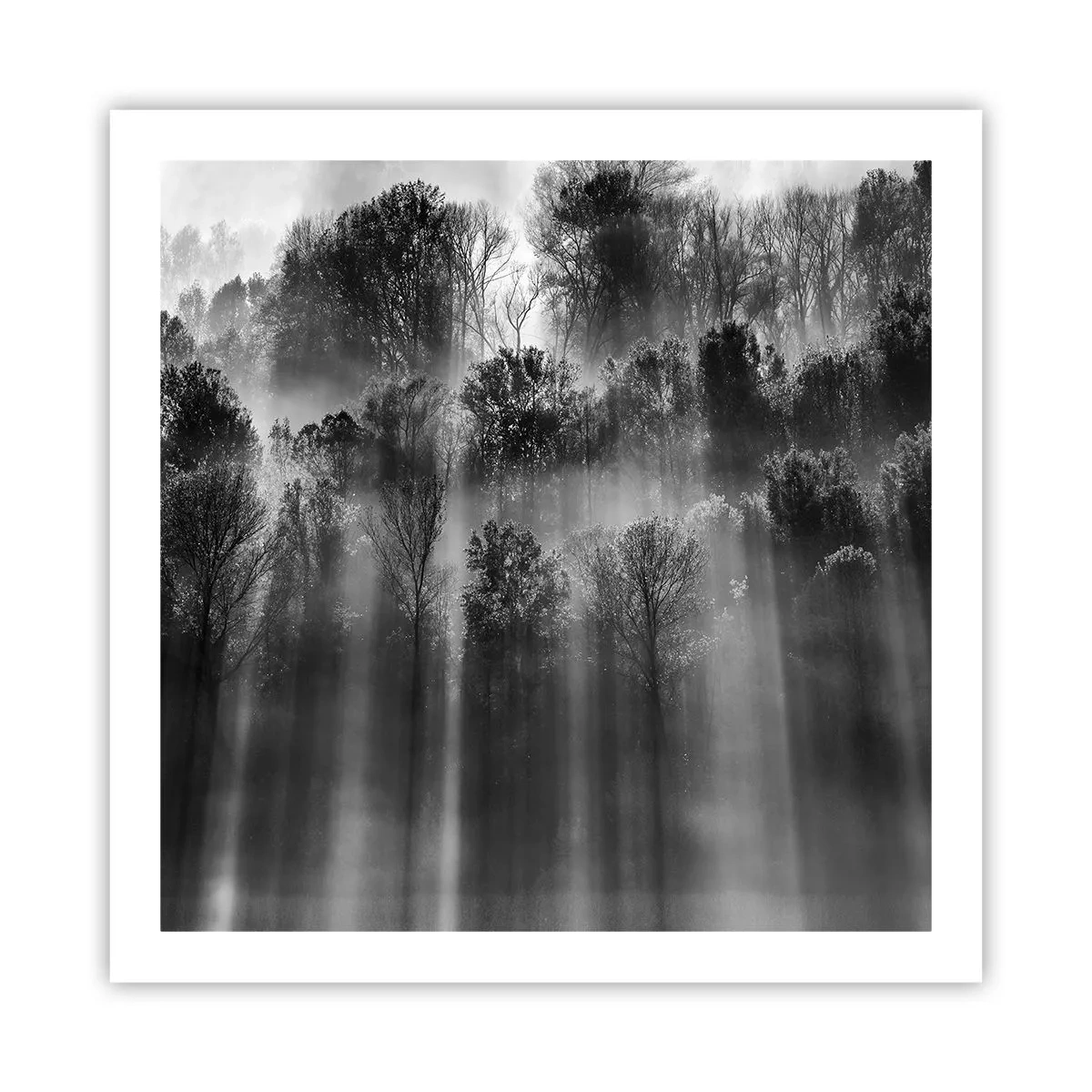 Poster - In Lichtstrahlen - 60x60 cm