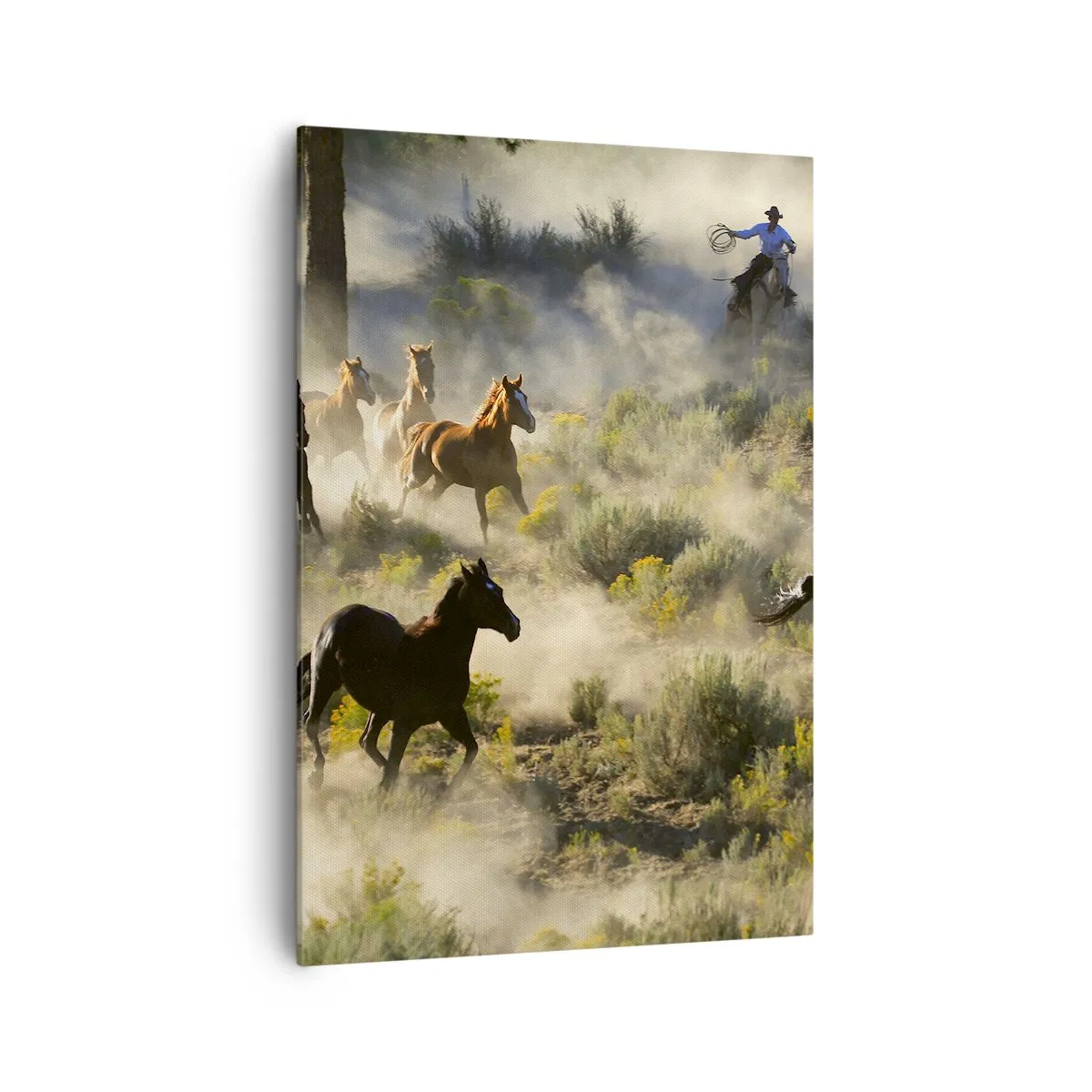 Bild auf Leinwand - Leinwandbild - Eine Herde wilder Pferde galoppiert durch Staub und Vegetation - 70x100cm - Rivalität – Freiheit oder männliche Stärke? - Moderne Wanddekoration für Wohnzimmer und Schlafzimmer ARTTOR