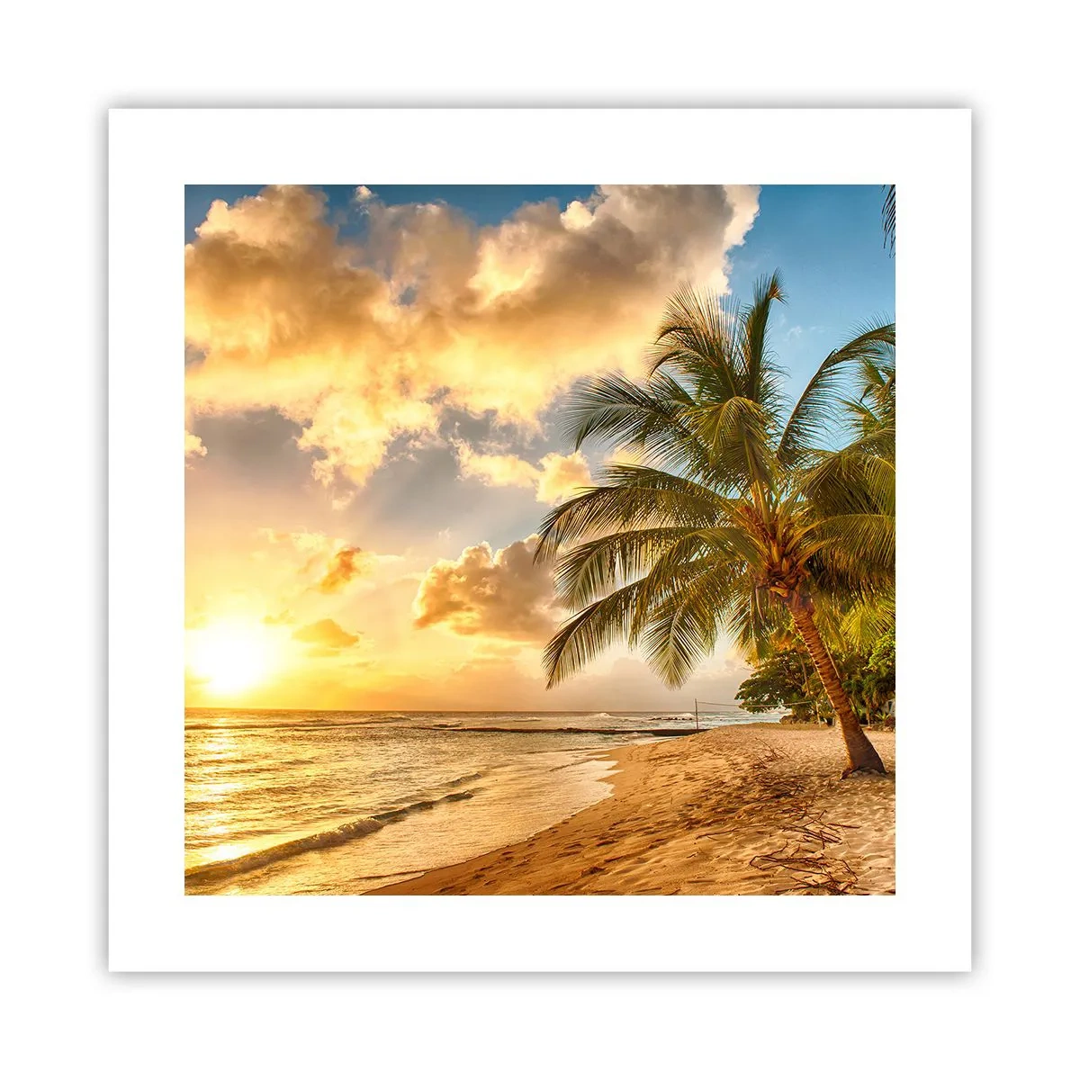 Poster - Ewiger Sommer, immer Urlaub - 40x40 cm