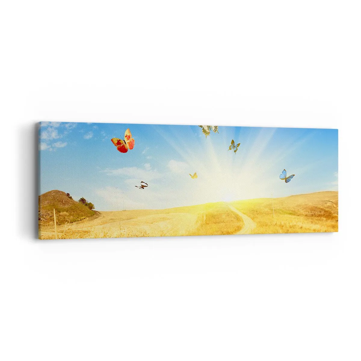 Bild auf Leinwand - Leinwandbild - Und wie kann man den Sommer nicht lieben? - 90x30 cm