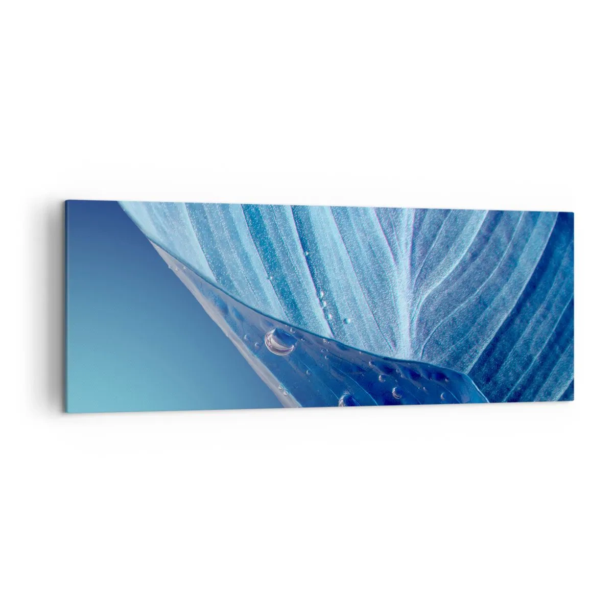 Bild auf Leinwand - Leinwandbild - Ein blaues Blatt mit sichtbaren Wassertropfen - 140x50cm - Versteckte Tropfen vom Blau - Moderne Wanddekoration für Wohnzimmer und Schlafzimmer ARTTOR