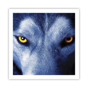 Poster - Faszinierender Blick - 60x60 cm