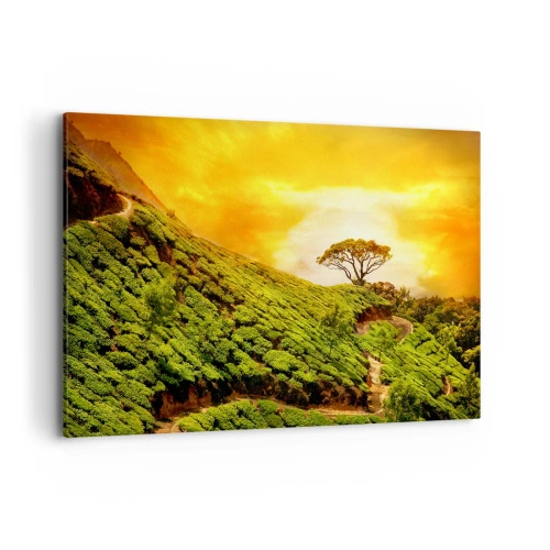 Bild auf Leinwand - Leinwandbild - Grüne Hügel mit Teeplantagen bei Sonnenuntergang - 100x70cm - Ein gewundener Weg, ein grüner Hang - Moderne Wanddekoration für Wohnzimmer und Schlafzimmer ARTTOR
