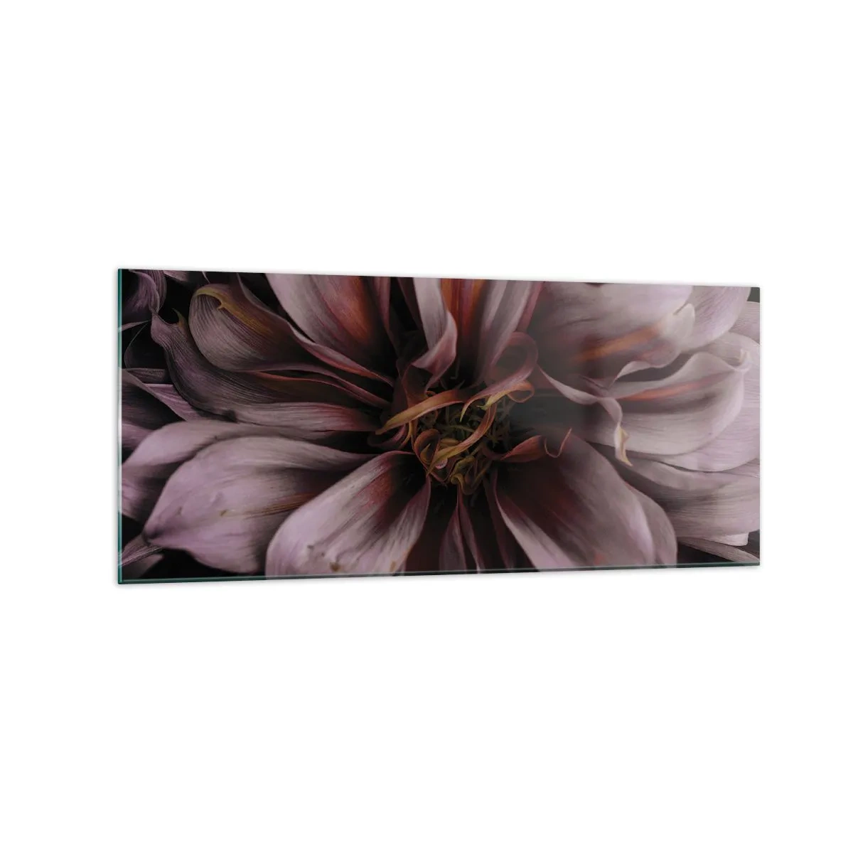 Glasbild - Bild auf glas - Nahaufnahme einer großen Blume in dezenten Farben - 120x50cm - Ein Blumenherz - Moderne Wanddekoration für Wohnzimmer und Schlafzimmer ARTTOR
