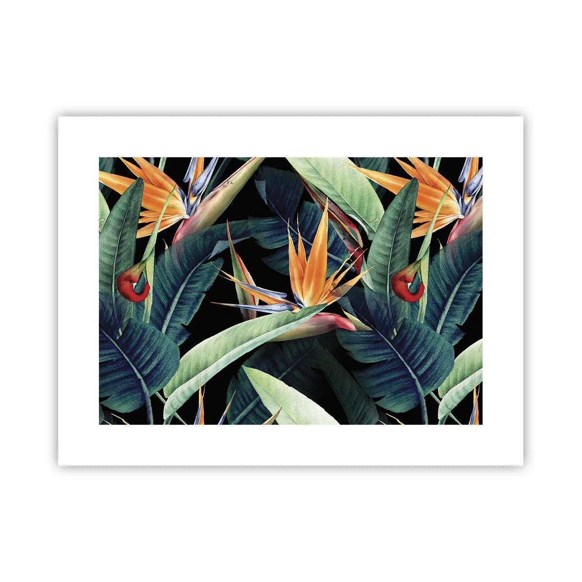 Poster - Flammende Blumen der Tropen - 40x30 cm