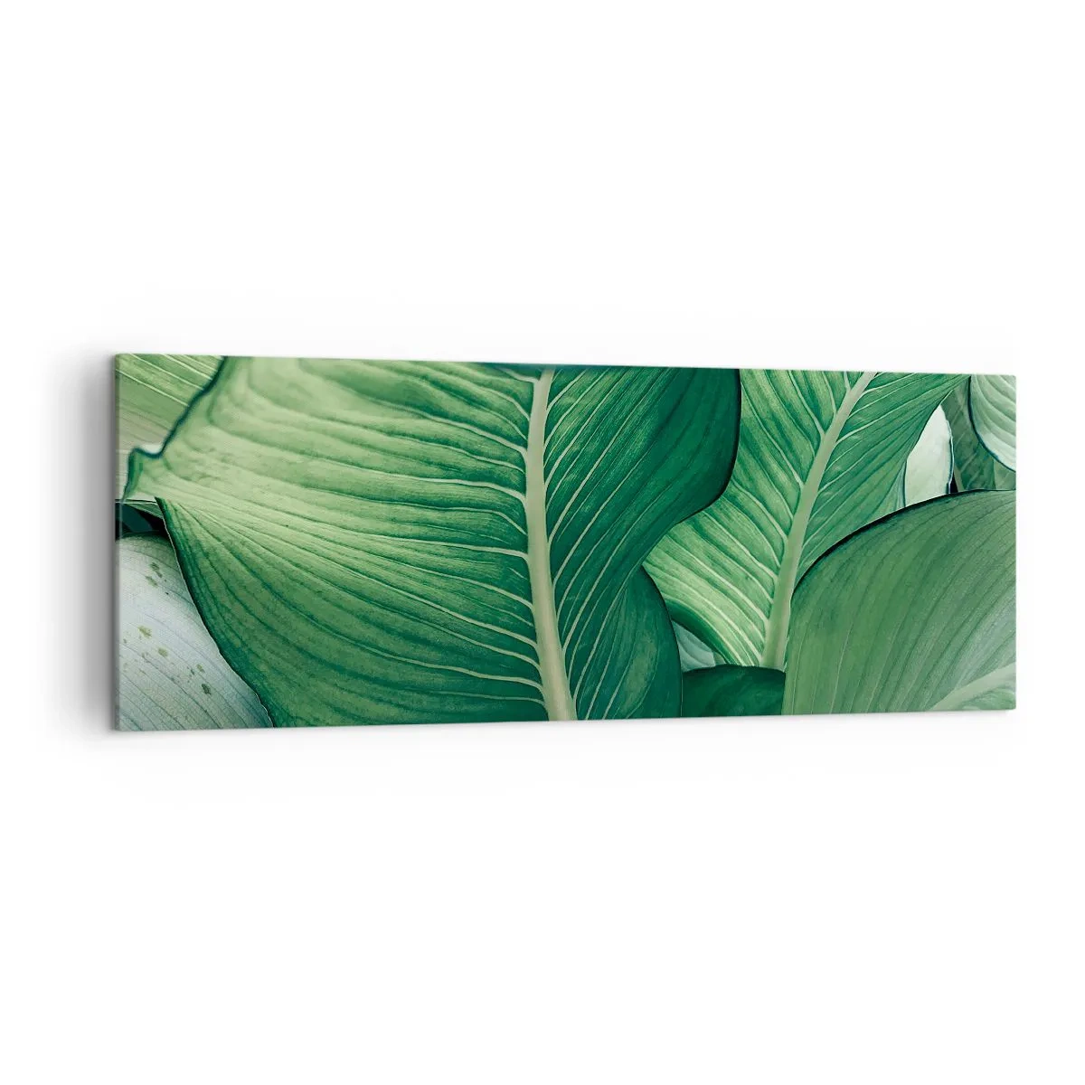 Bild auf Leinwand - Leinwandbild - Grüne Blätter mit ausdrucksstarken Details und Struktur - 140x50cm - Intensiv grünes Leben - Moderne Wanddekoration für Wohnzimmer und Schlafzimmer ARTTOR