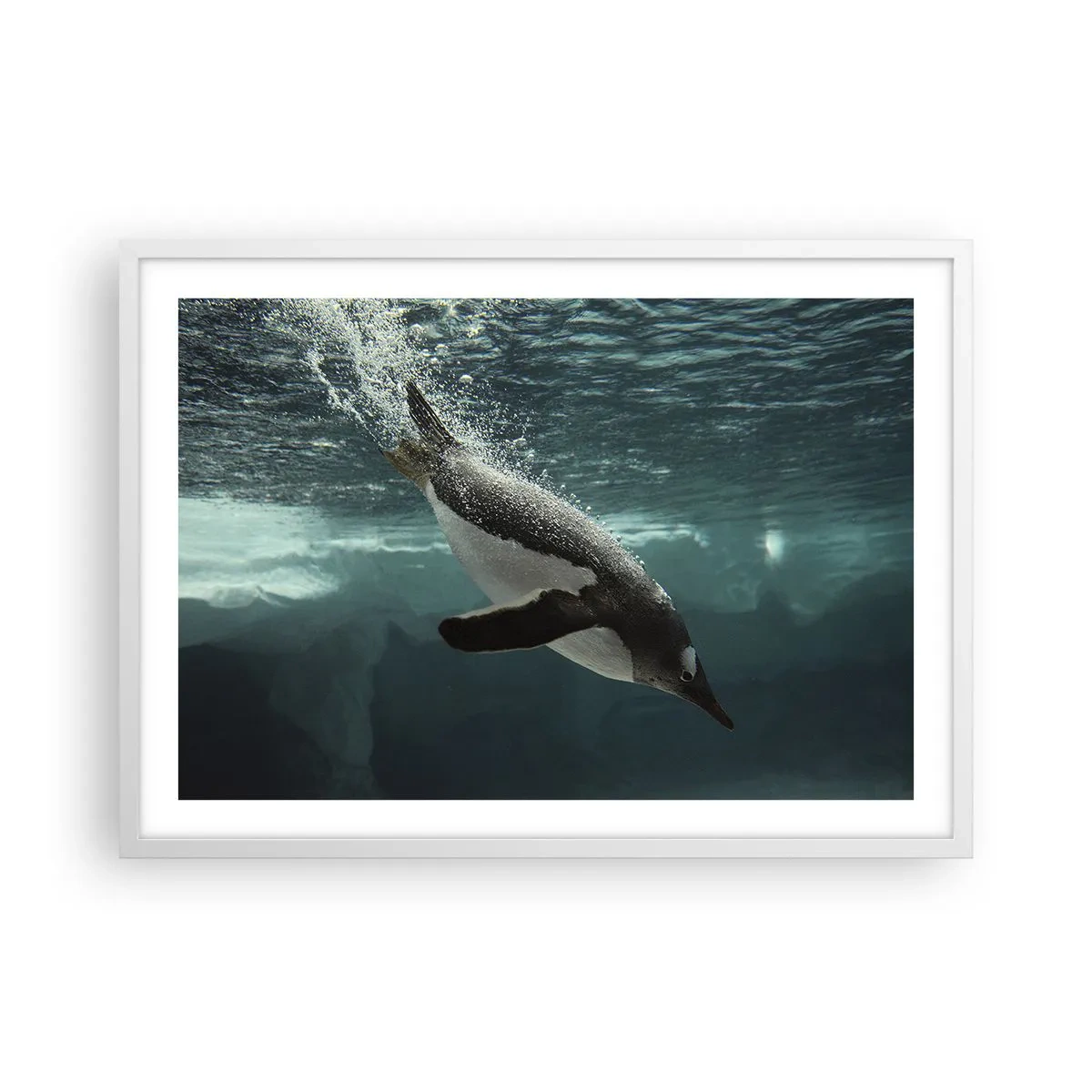 Poster in einem weißen Rahmen - Willkommen in meiner Welt - 70x50 cm