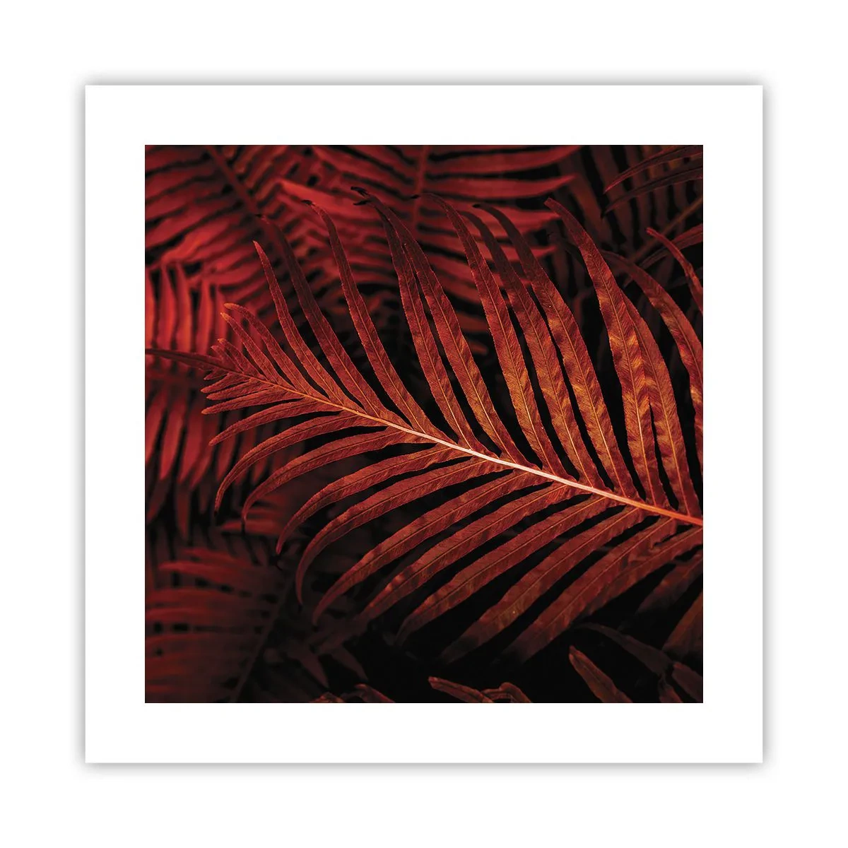 Poster - Die Hitze des Lebens - 40x40 cm