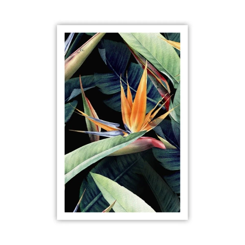 Poster - Flammende Blumen der Tropen - 61x91 cm