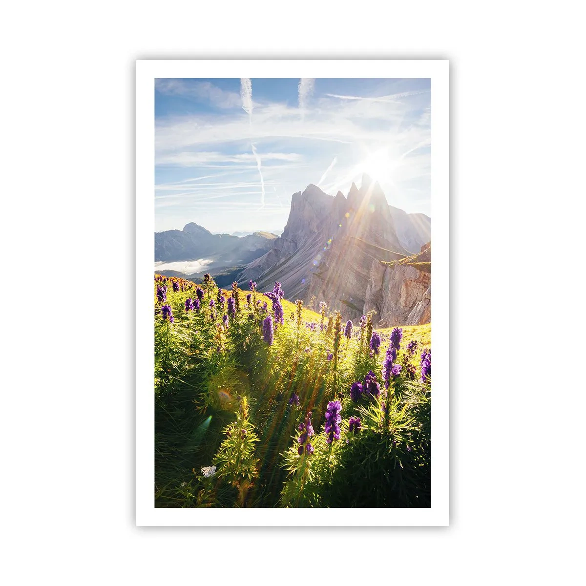 Poster - Das geheime Leben der Kräuter - 61x91 cm