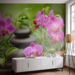 Fototapete Premium Canvas - Die Pyramide des Friedens - Blumen, Orchidee, Orchidee - 150x105 cm