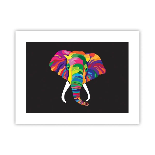 Poster - Der Elefant, der es liebte, im Regenbogen zu baden - 40x30 cm