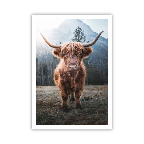 Poster - Grüße von der Bergwiese - 70x100 cm