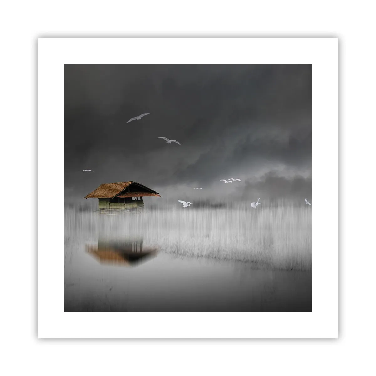 Poster - Schutz vor Regen - 40x40 cm