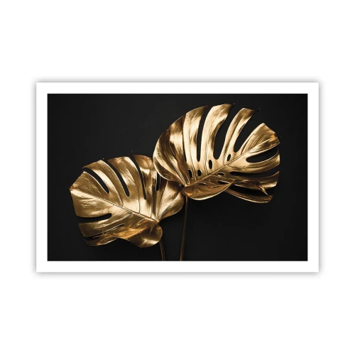 Poster - Die Schätze der Natur - 91x61 cm