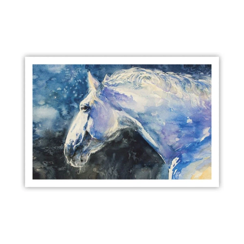 Poster - Porträt in blauem Glanz - 91x61 cm