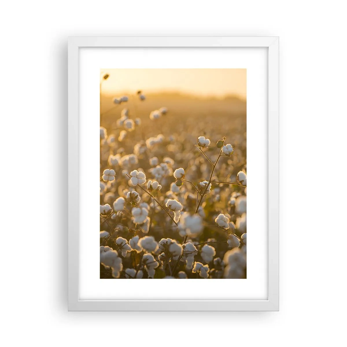 Poster in einem weißen Rahmen - Fluffiges Feld - 30x40 cm