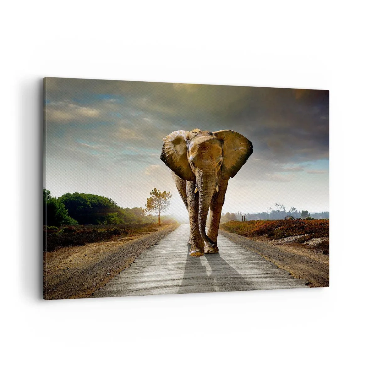 Bild auf Leinwand - Leinwandbild - Ein Elefant, der bei Sonnenuntergang auf einer Straße durch eine Landschaft läuft - 100x70cm - Und schon gar nicht in einem Porzellanlager - Moderne Wanddekoration für Wohnzimmer und Schlafzimmer ARTTOR