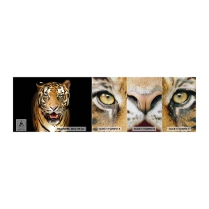 Fototapeten Muster Premium Canvas - Wild im Herzen - Tiere, Tiger, Raubtier - 100x30 cm