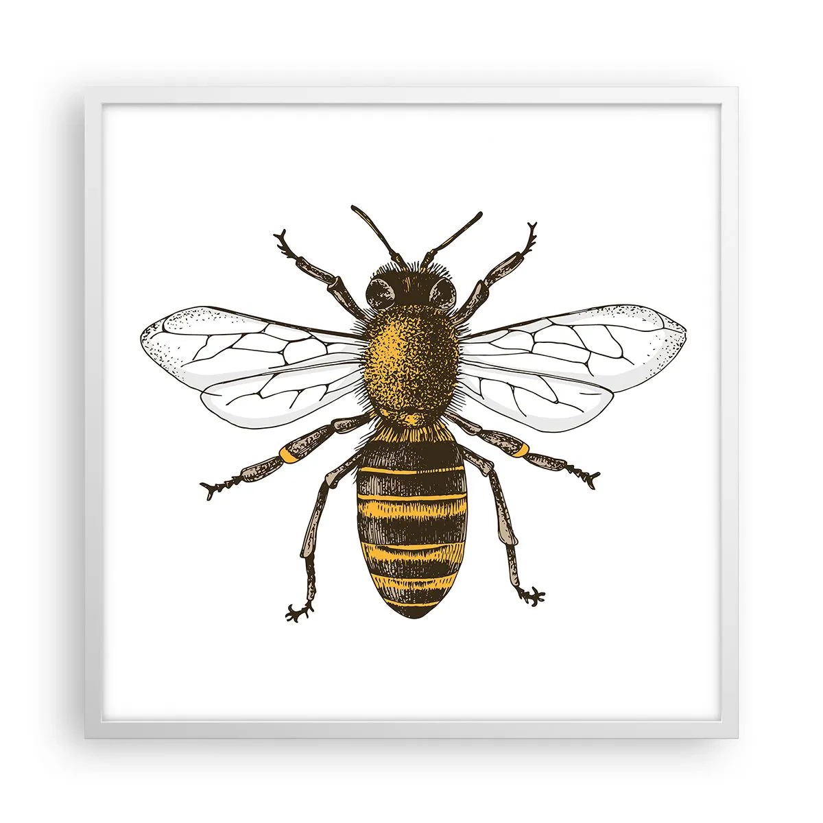 Poster in einem weißen Rahmen - Schön und gut - 60x60 cm