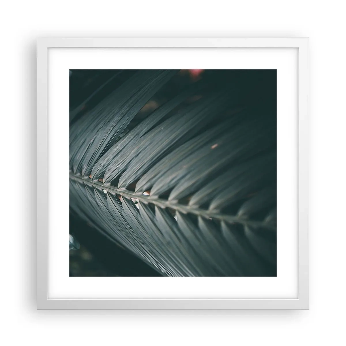 Poster in einem weißen Rahmen - Die Präzision der Natur - 40x40 cm