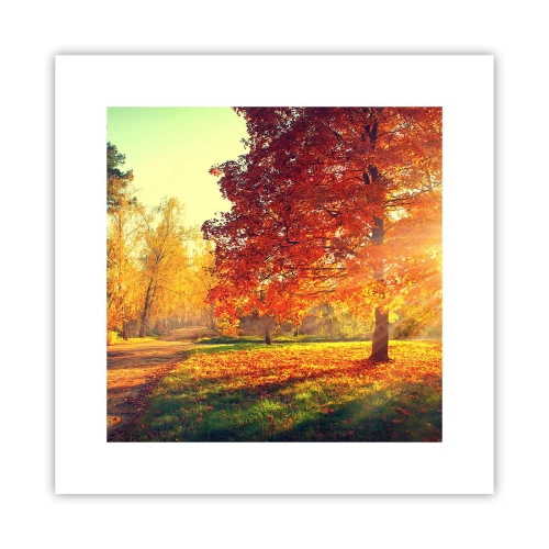 Poster - Unhöflich ist schön - 30x30 cm