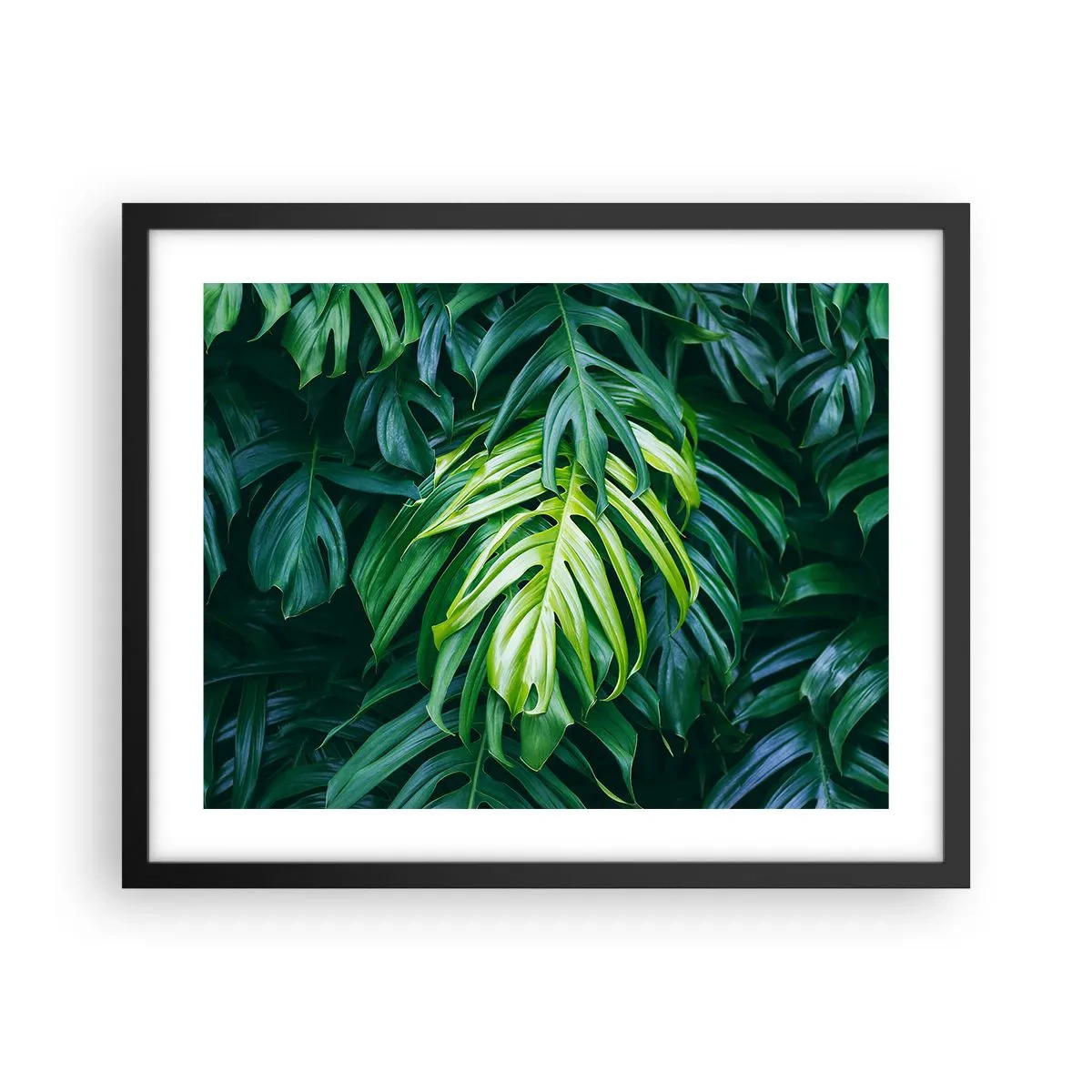 Poster in einem schwarzem Rahmen - Tauchen Sie ein in die Frische - 50x40 cm